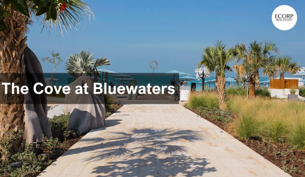 Cove at Bluewaters Apartments for Sale in Bluewaters Island Dubai